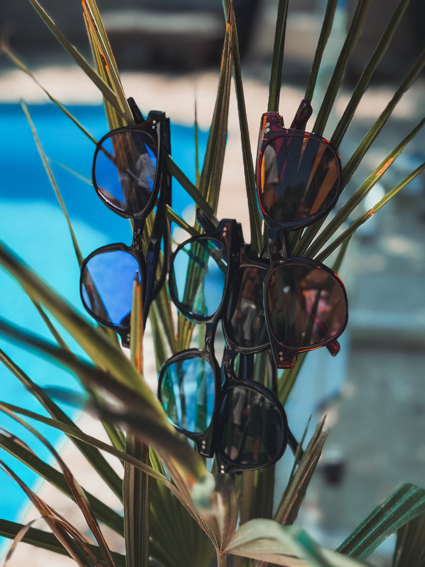 Lunette de soleil ronde